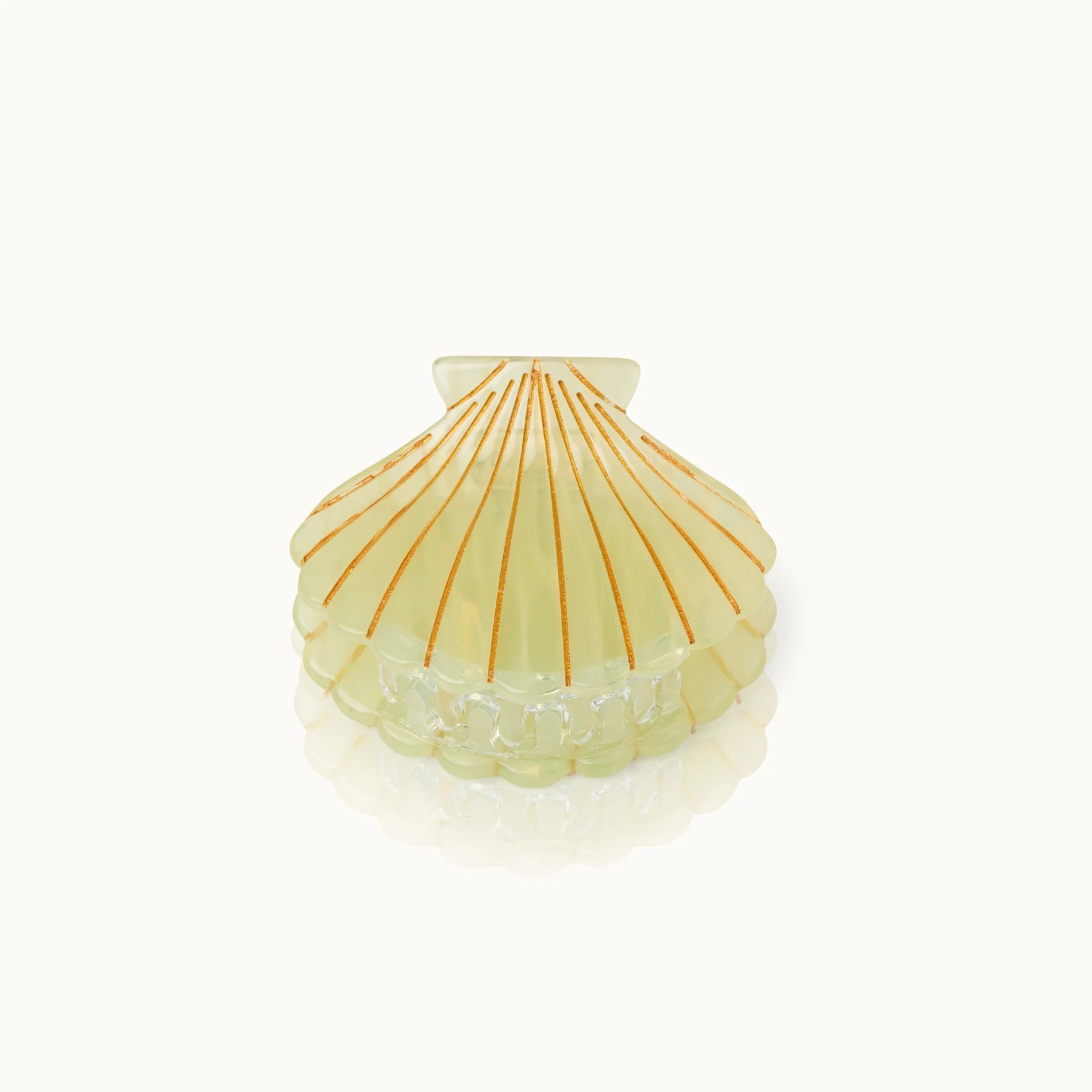 Haarklammer Muschelform Citrus