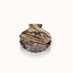 by Vivi Haarklammer Muschel – Topaz