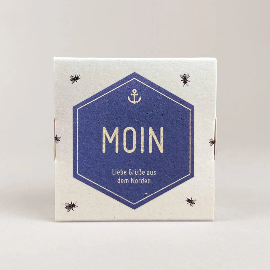 Honig Praline 4er Pack