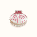 by Vivi Haarklammer Muschel – Pinky Pearl