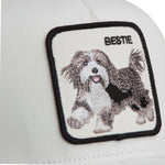 Goorin Cap Bestie – Detailansicht