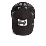 Goorin Black Sheep – Rückseite schräg